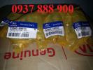233604A030-TENSIONER ASSY-TIMING CHAIN-Tang xich bom nhot (xich 40 mat) Hyundai Porter 2, Libero, St